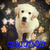 :iconnaty249: