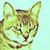 :iconnauffu5: