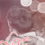 :iconnaughtylazynk: