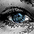 :iconnautalusx: