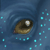 :iconnauths: