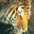 :iconnauticalspoon: