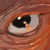 :iconnautikat: