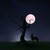 :iconnautilus-night: