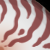 :iconnautilusperegrinus: