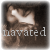 :iconnavated: