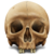:iconnavicapic: