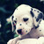 :iconnaviee: