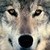 :iconnavygirl1510: