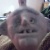 :iconnavysealltblue: