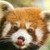 :iconnawala: