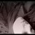 :iconnawetta:
