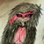 :iconnayanathemonkey: