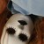 :iconnazarith7: