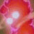 :iconnazcapilot:
