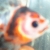 :iconnaztenka: