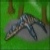 :iconnbeta: