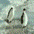 :iconnbws-nightmare: