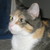 :iconncbass419: