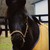 :iconnciszivalover13579: