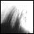 :iconncm: