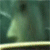 :iconncqelie: