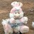 ncRabbit :iconncrabbit: