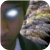 :iconnd1razor: