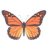 :iconndj207: