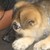 :iconndoze1: