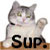:iconNe0n0rangeGall0ws: