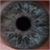 :iconneal3d: