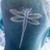:iconneapolitsa: