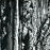 :iconnearagarden: