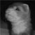 :iconnebbzangelsinferno: