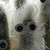 :iconnebelschwinge: