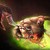 :iconnebra010: