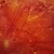:iconnebulae3sma: