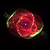 :iconnebulaedesign: