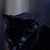 :iconnecro-jero: