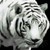 :iconnecrocatgod:
