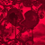 :iconnecroheart: