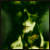 :iconnecromantress: