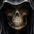 :iconnecrowarrior6389: