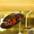 :iconnedfromeurope: