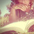 :iconneedpointsforcontest: