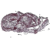 :iconneener5: