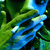 :iconneesolay: