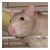 :iconnefarous: