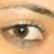:iconnefertiti-89: